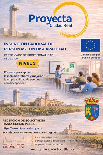 Curso Inserción Laboral de personas con discapacidad